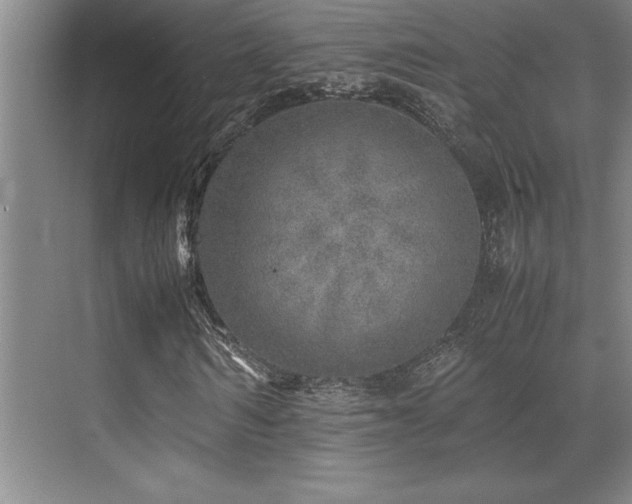 X0000071950962200607071206