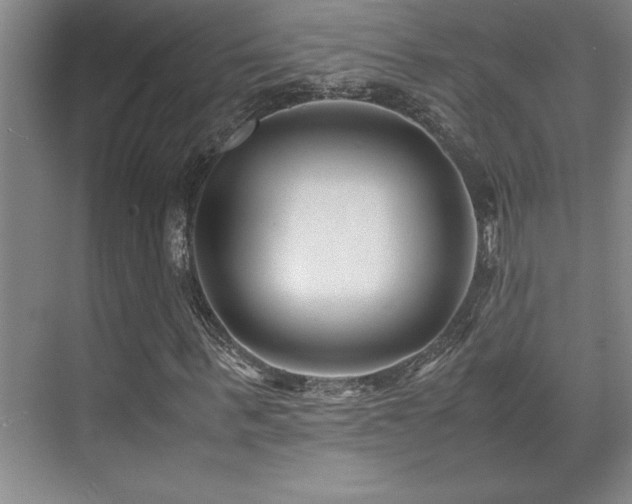 X0000071950963200607071206