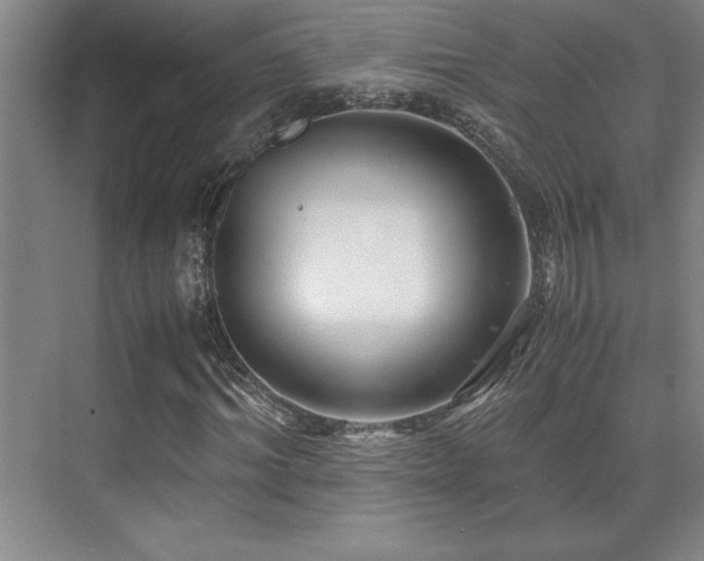 X0000071950964200607071206