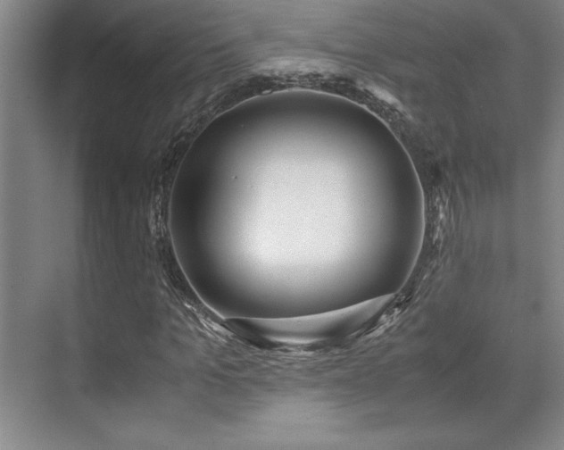 X0000071950965200607071206