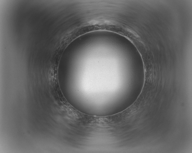 X0000071950966200607071206