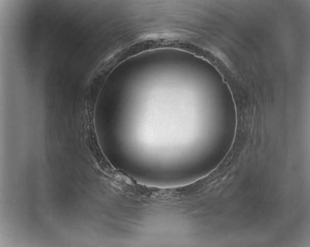 X0000071950967200607071206