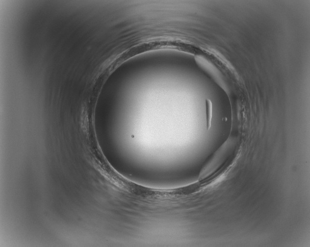 X0000071950969200607071206