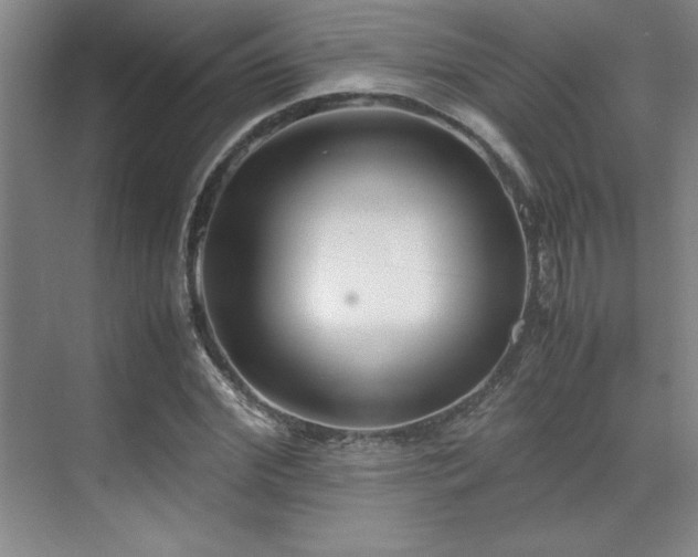 X0000071950972200607071206