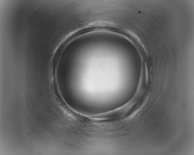 X0000071950973200607071206