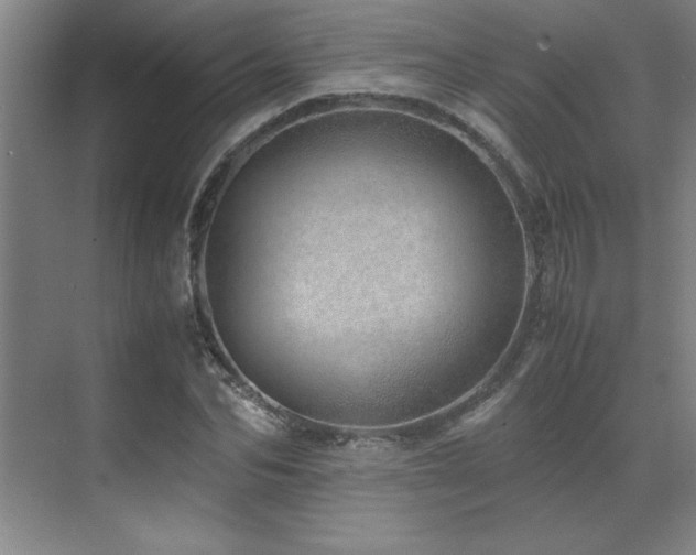 X0000071950974200607071206