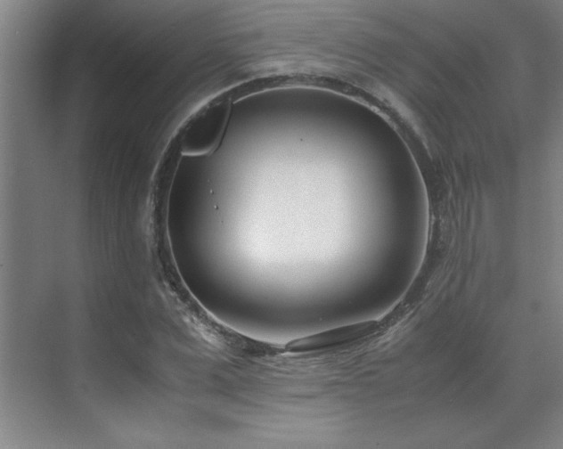 X0000071950975200607071205