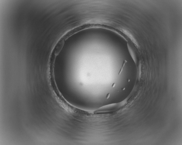 X0000071950976200607071205