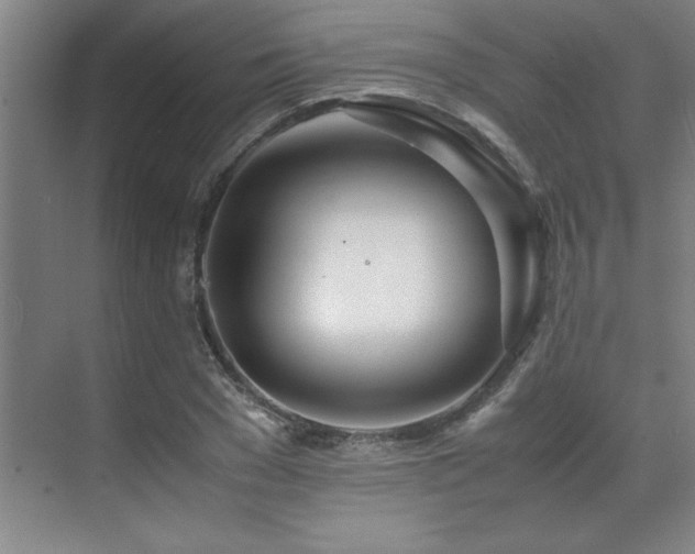 X0000071950977200607071205