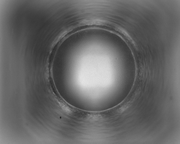 X0000071950978200607071205