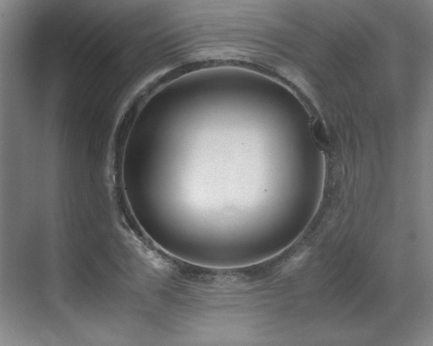 X0000071950979200607071205