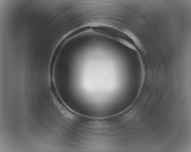 X0000071950980200607071205