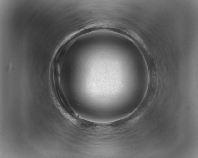 X0000071950981200607071205