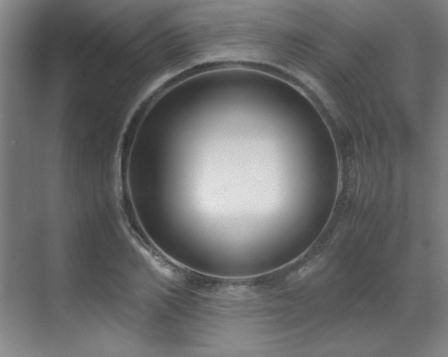 X0000071950982200607071205