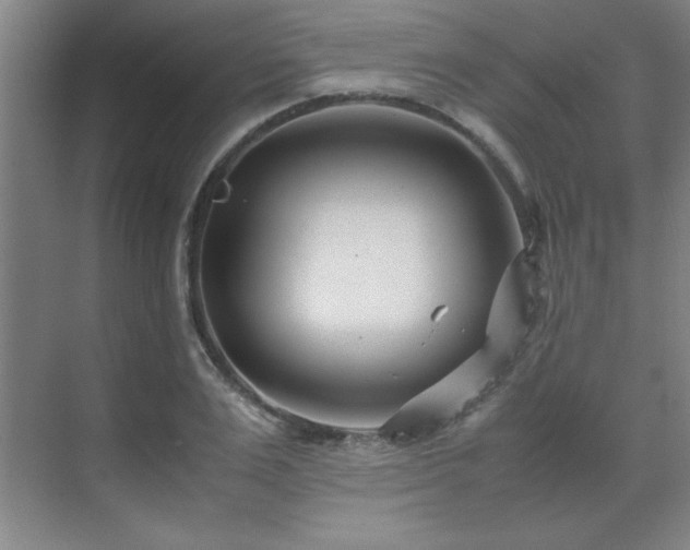 X0000071950983200607071205