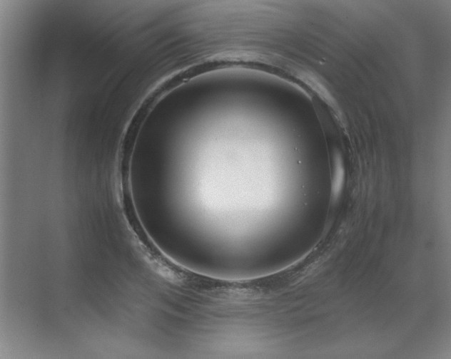 X0000071950984200607071205