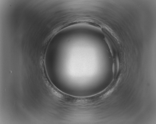 X0000071950985200607071205