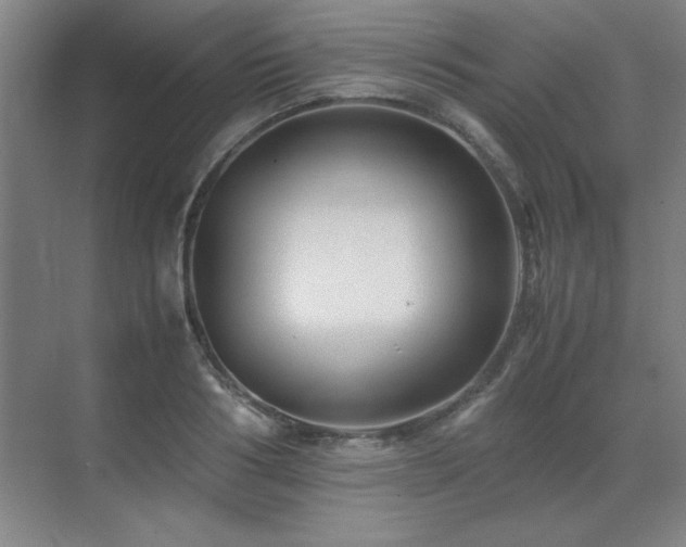 X0000071950986200607071205