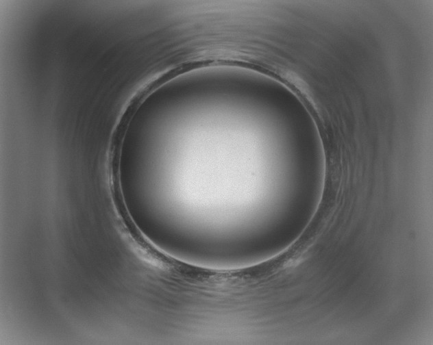 X0000071950987200607071205