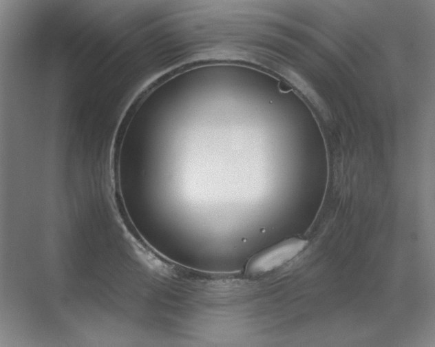 X0000071950988200607071205