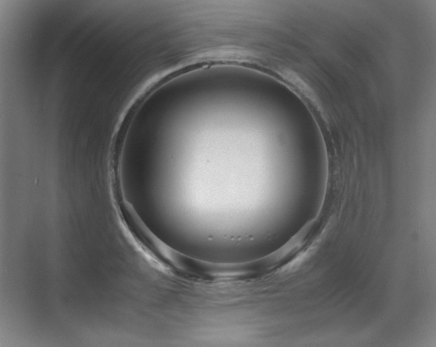 X0000071950989200607071205