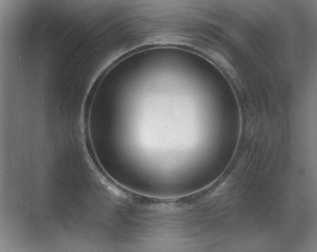 X0000071950990200607071205