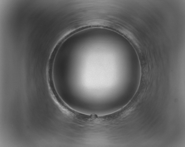 X0000071950991200607071205