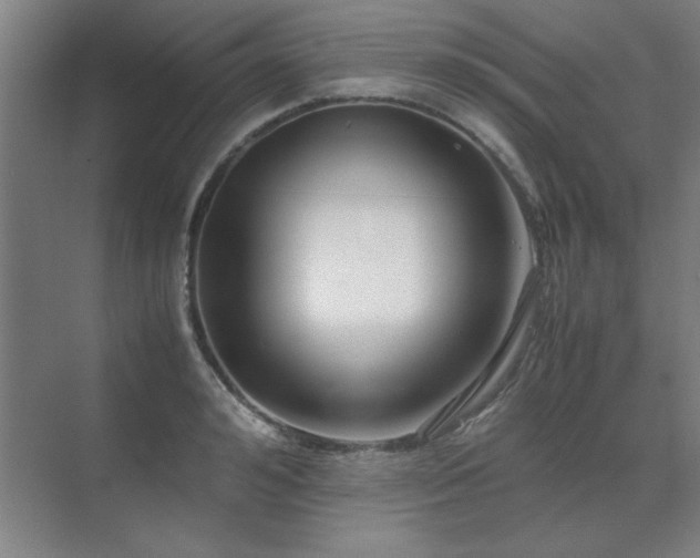 X0000071950992200607071205