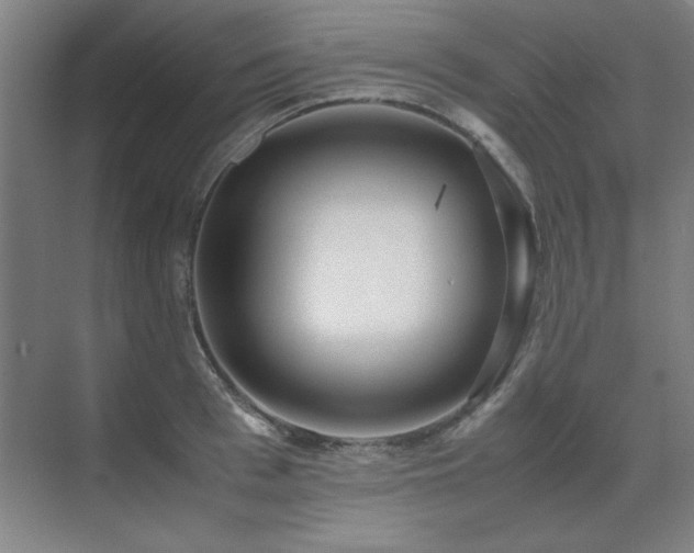 X0000071950993200607071205