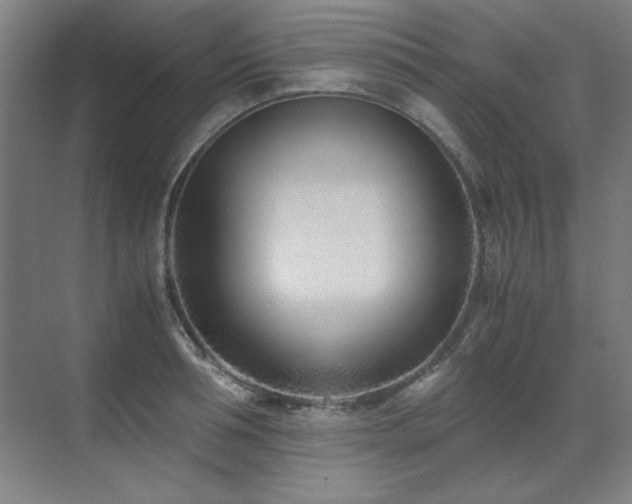 X0000071950994200607071205