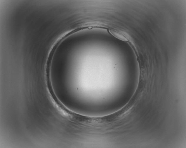 X0000071950995200607071205