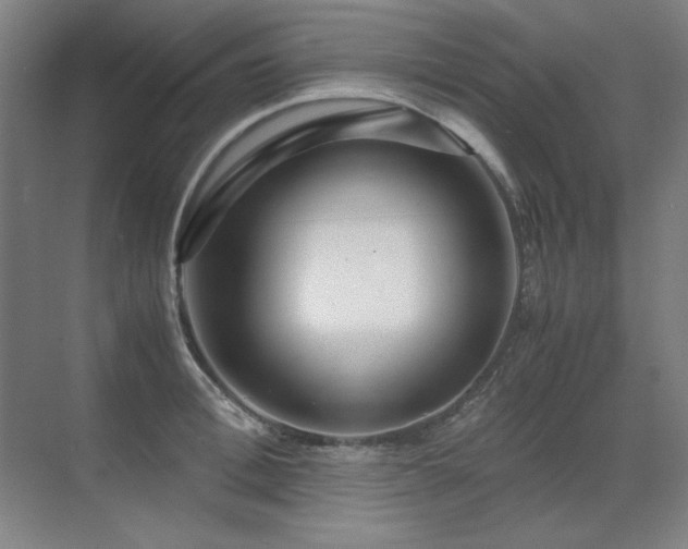 X0000071950996200607071205