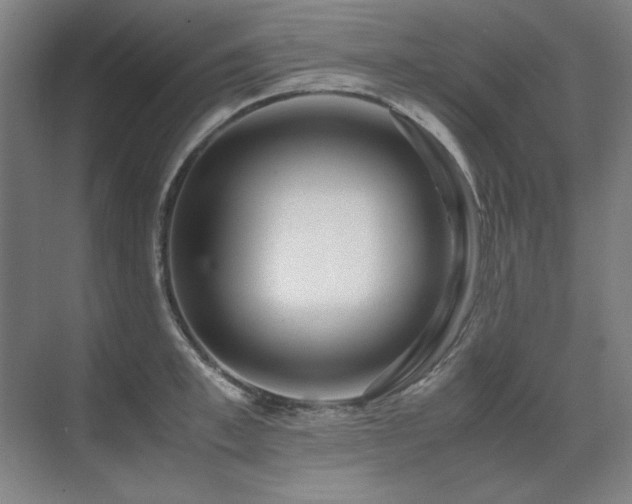 X0000071950997200607071205