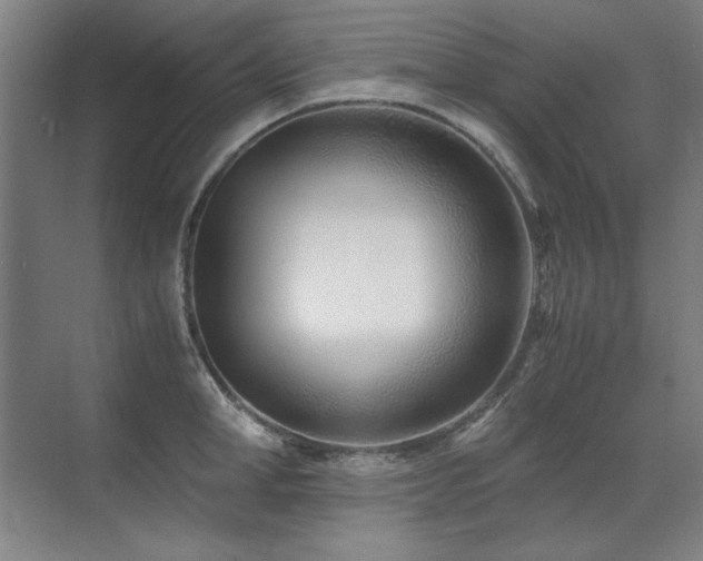 X0000071950998200607071205