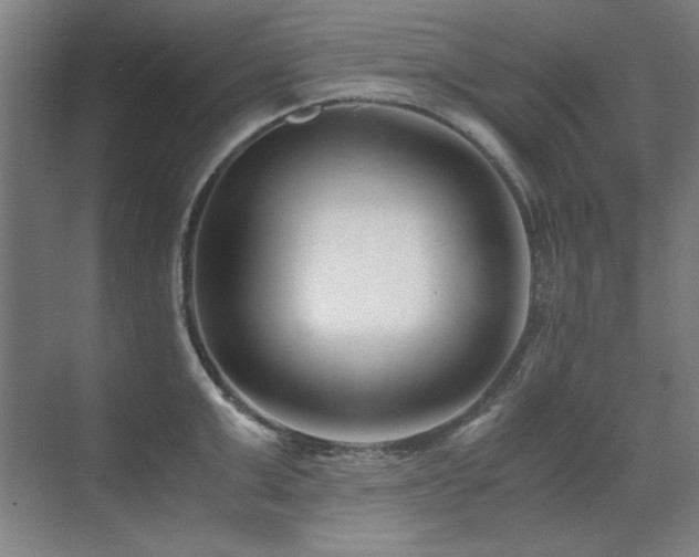 X0000071950999200607071205