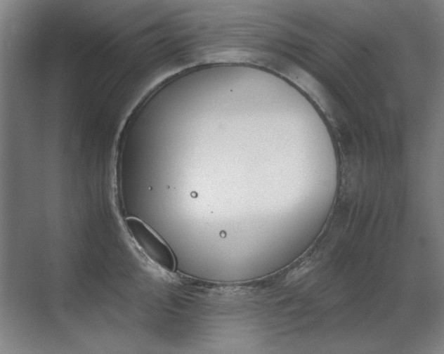 X0000071951000200607071205