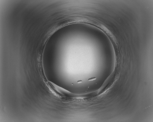 X0000071951001200607071205