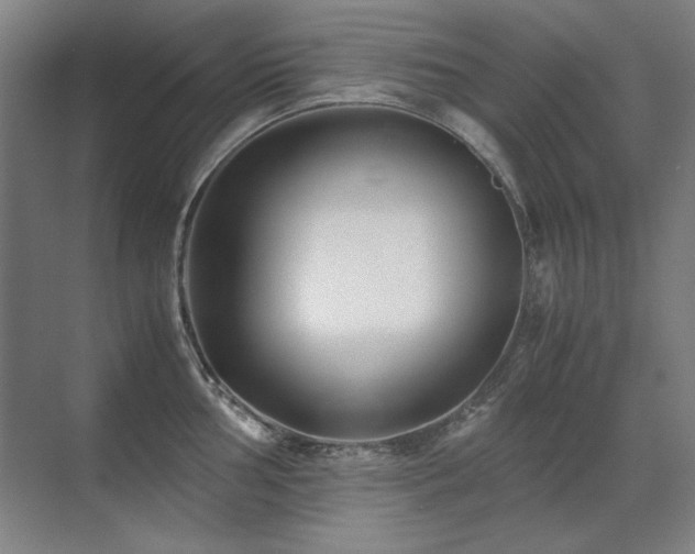 X0000071951002200607071205