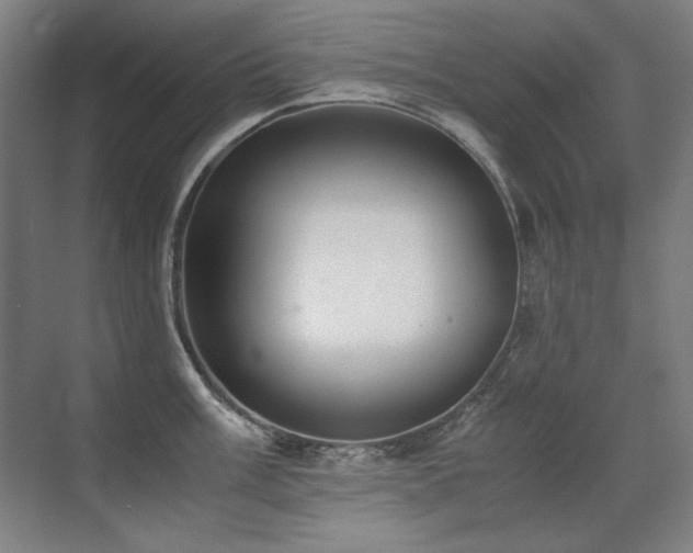 X0000071951003200607071205