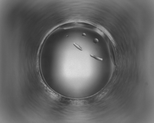 X0000071951004200607071205