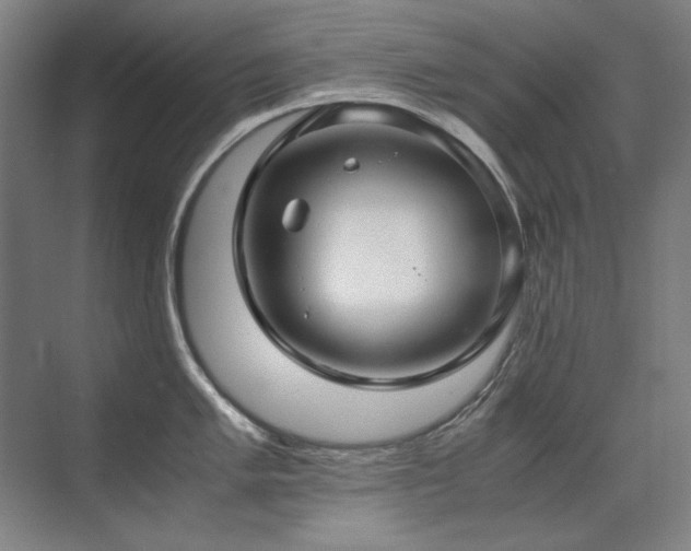 X0000071951005200607071205