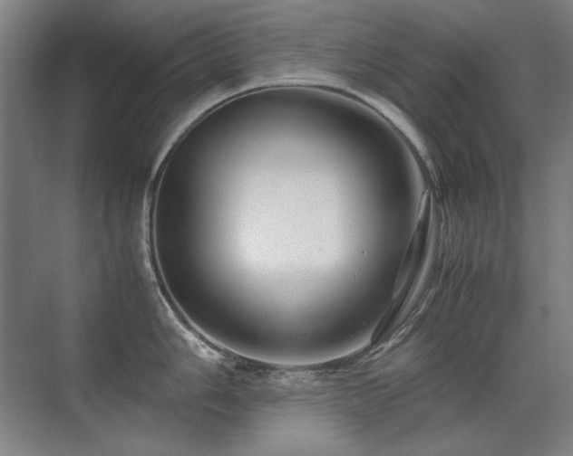 X0000071951006200607071205