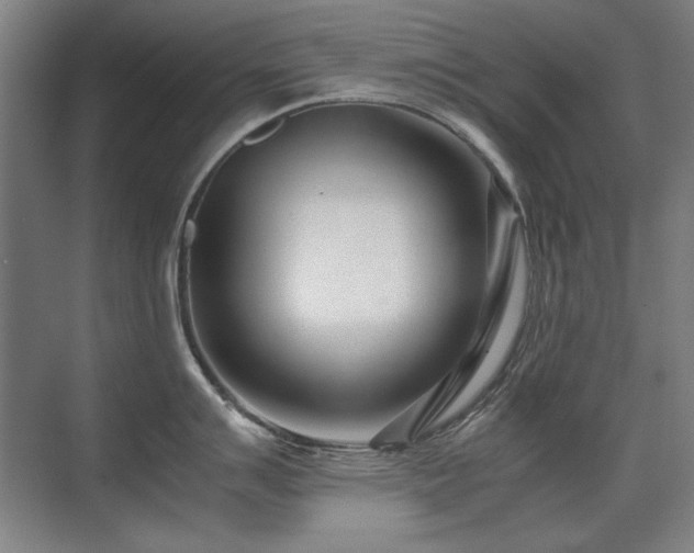 X0000071951007200607071205