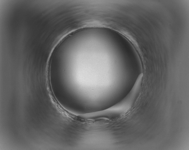 X0000071951008200607071205