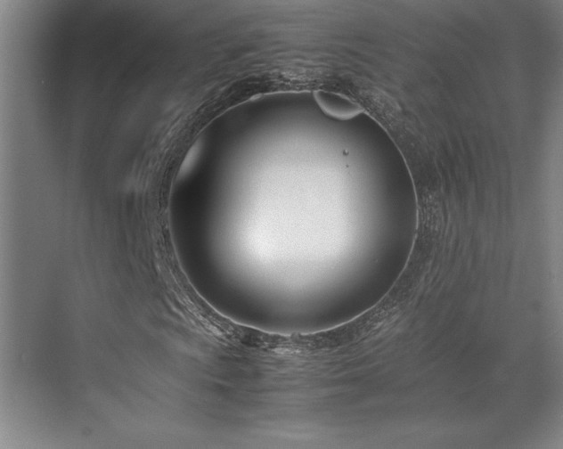 X0000071951009200607071204