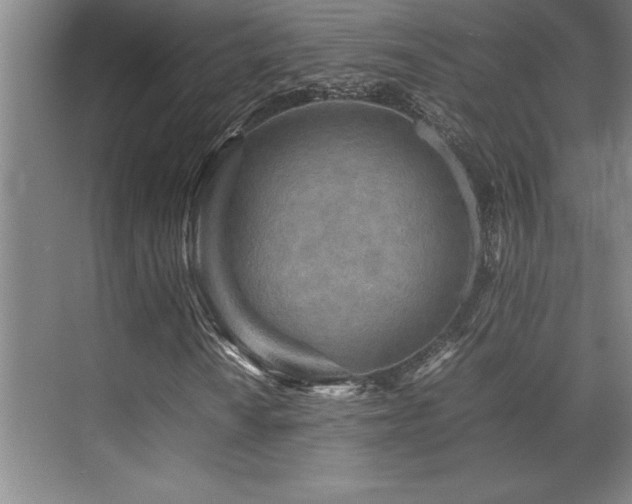 X0000071951010200607071204