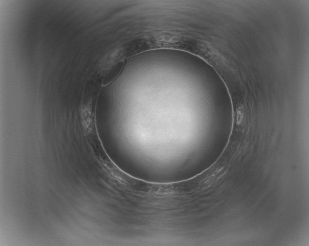 X0000071951011200607071204