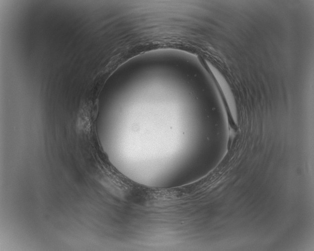 X0000071951012200607071204