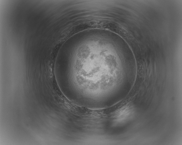 X0000071951013200607071204