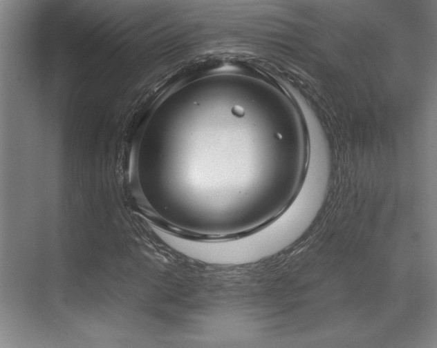 X0000071951014200607071204